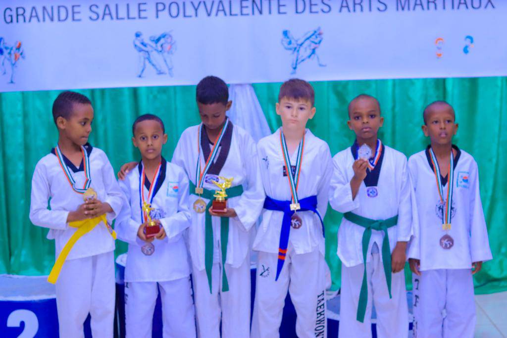 Pratique du Taekwondo